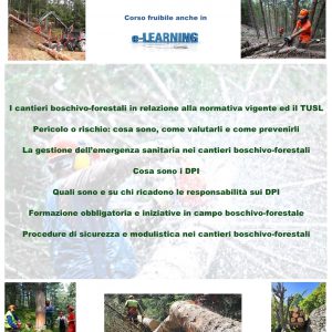 Locandina corso sicurezza nei cantieri boschivo - forestali